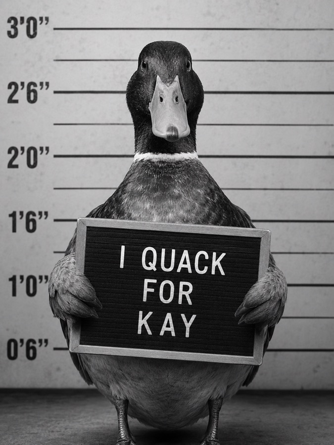 Black-and-white vintage mugshot of a duck holding a letter-board sign reading 'I quack for Kay', a custom pet magnet made with AI and a eufyMake E1 UV printer